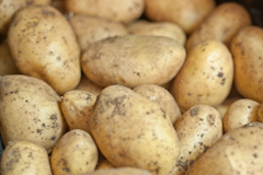 Hofladen,Kartoffeln
